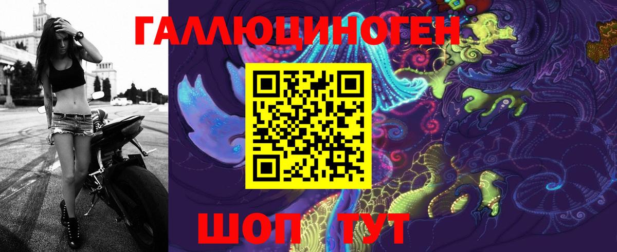 Псилоцибиновые грибы Psilocybe  Вход с VPN  Тулун 