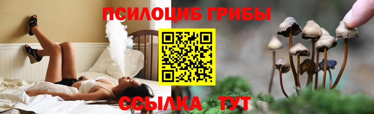 Псилоцибиновые грибы прущие грибы Тулун